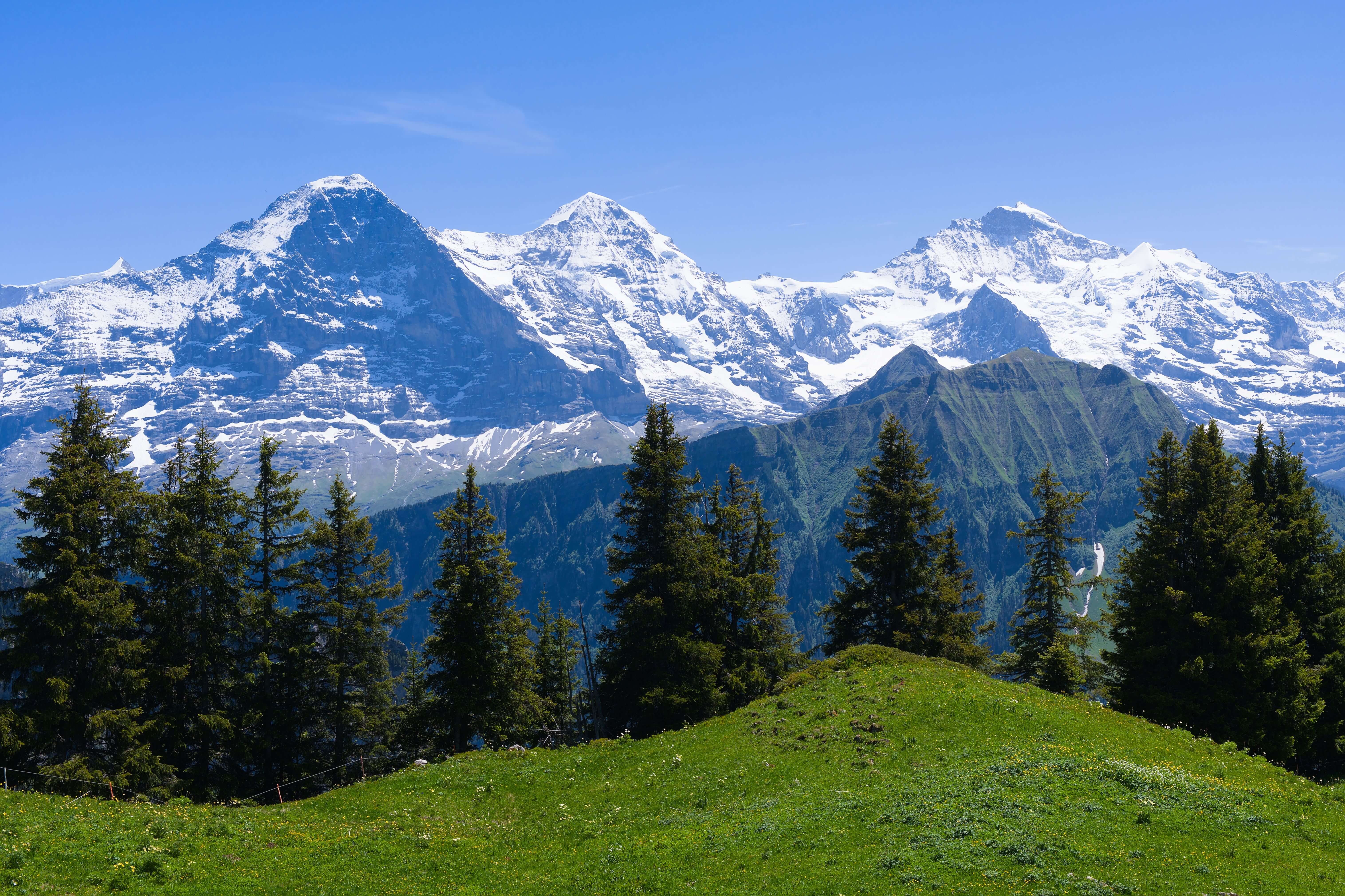 Cityus supports sustainability through responsible operations and long-term community initiatives